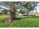 Expansive backyard featuring mature tree and a comfortable bench sitting area at 508 Starr Ridge Dr, Lake Wales, FL 33898