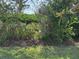Tranquil backyard garden with diverse plants, trees, and serene landscaping elements at 6107 Grand Oaks Se Dr, Winter Haven, FL 33884