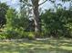 Backyard featuring lush foliage, mature trees, and decorative stone edging at 6107 Grand Oaks Se Dr, Winter Haven, FL 33884