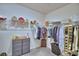 This walk-in closet has adjustable shelving, hanging rods, and a chest of drawers at 825 Grazie Loop, Davenport, FL 33837