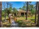 A home's exterior displays a welcoming facade, accessible by a wooden ramp through lush greenery at 100 El Camino Dr # 309, Winter Haven, FL 33884