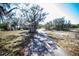 Long driveway leading to a home nestled among lush trees and greenery at 1432 Libby Rd, Babson Park, FL 33827