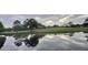 Scenic view of a pond with trees reflected in the water, highlighting the community's natural beauty at 1602 Eagle Pond Dr # 1602, Winter Haven, FL 33884