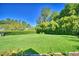 Large backyard with mature trees and a privacy hedge provides ample space at 2611 State Road 557, Lake Alfred, FL 33850