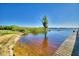 Gorgeous lakeside view from the end of a wooden pier with trees and blue skies on a bright, sunny day at 2611 State Road 557, Lake Alfred, FL 33850