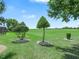 Landscaped backyard with trimmed shrubs and manicured green space at 4148 Dunmore Dr, Lake Wales, FL 33859