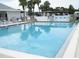 Community pool with clear blue water, lounge chairs, and tropical palm trees in the background at 6398 Lolly Bay Ne Loop, Winter Haven, FL 33881