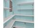 Walk-in pantry with adjustable white shelves and blue walls at 6925 Alturas Babson Park Cutoff, Bartow, FL 33830