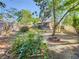 Beautiful backyard showcasing lush greenery and peaceful surroundings, ideal for enjoying the outdoors at 711 Lake Dexter Cir, Winter Haven, FL 33884