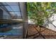 Backyard view showcasing the pool area, lush greenery, and a fruit tree in a private setting at 8001 Arrow Creek Rd, Kissimmee, FL 34747