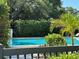 The community pool offers a refreshing oasis with sun loungers, mature palms, and lush landscaping for relaxation and leisure at 104 Woden Way, Winter Haven, FL 33884