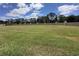 Expansive, well-maintained backyard with a decorative perimeter wall, perfect for outdoor activities at 1224 Vienna Square Dr, Winter Haven, FL 33884
