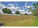 The backyard view from the home features a fence and ample green space at 154 Canna Dr, Davenport, FL 33897
