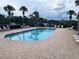 Sparkling community pool surrounded by palm trees and lounge chairs, creating a resort-like atmosphere at 154 Canna Dr, Davenport, FL 33897
