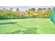 Well-maintained green tennis court surrounded by lush trees, offering a private and picturesque playing experience at 1573 Vienna Square Dr, Winter Haven, FL 33884