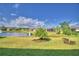 Beautiful backyard view featuring a tranquil pond with flamingo decorations at 2577 Canyon Crest Dr, Lakeland, FL 33811