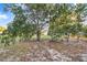 Well maintained green yard with scattered leaves and mature trees at 302 W Gates Ave, Lake Hamilton, FL 33851