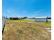 Extensive backyard featuring a white fence, a shed, a pool enclosure, and young sapling trees at 351 Columbo St, Winter Haven, FL 33880