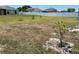 Backyard sapling tree with partial grass and partial sand at 351 Columbo St, Winter Haven, FL 33880