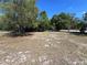 A spacious backyard with mature trees and open space at 3949 Millstone St, Lake Wales, FL 33898