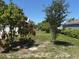 Large front yard features a number of trees and shrubs at 403 Se 3Rd St, Fort Meade, FL 33841