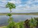 Scenic pond with clear water surrounded by greenery and mature plantings provides a tranquil and appealing natural view at 4081 Dunmore Dr, Lake Wales, FL 33859