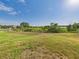 A view of the natural landscape shows a vast grassy field and trees at 5787 Dornich Dr, Auburndale, FL 33823