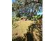 Backyard featuring a shed and an area for outdoor activities at 620 Se Oleander Se Dr, Winter Haven, FL 33880