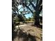 Wide angle view of the backyard with a concrete pathway and lush trees, perfect for outdoor activities at 620 Se Oleander Se Dr, Winter Haven, FL 33880