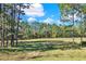 Spacious backyard features a view of mature trees and a large grassy field at 662 Orista Dr, Davenport, FL 33897
