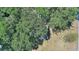 High angle aerial view of a home surrounded by trees at 6925 3Rd St, Mulberry, FL 33860