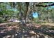 View of the home's backyard with mature trees providing shade at 6925 3Rd St, Mulberry, FL 33860