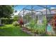 Lush backyard featuring a pool in a screened enclosure and a charming vegetable garden for fresh, homegrown produce at 716 Maderia Ct, Kissimmee, FL 34758
