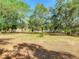 Mature trees and a partially grassy, partially sandy lawn define the backyard at 1024 Campbell Ave, Lake Wales, FL 33853