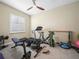 Bright gym features new equipment, a ceiling fan, and natural light at 1104 Sawgrass Dr, Winter Haven, FL 33884