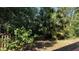 Lush backyard with mature trees and landscaping, offering privacy and natural beauty at 150 El Dorado # 109, Winter Haven, FL 33884