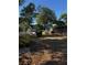 Charming homes nestled among mature trees offer curb appeal on a bright, sunny day at 229 Ne Avenue B, Winter Haven, FL 33881