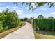 Scenic community walking path surrounded by lush greenery, providing a serene escape for residents to enjoy nature at 2356 Palm Park Loop, Clermont, FL 34714