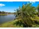 Relaxing water view with mature palm, which creates a feeling of serenity at 3374 Waterlute Way, Lakeland, FL 33811