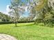 Lush green backyard with manicured lawn, surrounded by mature trees and hedges, providing a serene setting at 42 Grenewood Ln, Haines City, FL 33844