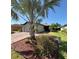 Charming single-story home with a lush front yard, brick driveway, and well-maintained landscaping, complete with a majestic palm tree at 4480 Turnberry Ln, Lake Wales, FL 33859