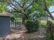 Large backyard featuring mature landscaping and a fenced-in pet enclosure at 803 7Th Ne St, Fort Meade, FL 33841
