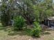 Extensive backyard featuring a shed, mature landscaping, and home exterior at 803 7Th Ne St, Fort Meade, FL 33841