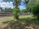 Wide backyard view with mature trees and new fence at 803 7Th Ne St, Fort Meade, FL 33841