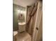 Bathroom with modern fixtures, vanity and unique patterned curtain at 808 Ware Ne Ave, Winter Haven, FL 33881
