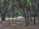 Driveway leading through trees to home at 3805 Mammoth Grove Rd, Lake Wales, FL 33898