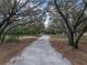 Long driveway leading through trees to home at 3805 Mammoth Grove Rd, Lake Wales, FL 33898