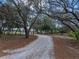 Long gravel driveway leads through mature trees, offering a serene and private approach to the home at 3805 Mammoth Grove Rd, Lake Wales, FL 33898