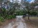 Gravel driveway leads to black wooden gate between trees to house at 3805 Mammoth Grove Rd, Lake Wales, FL 33898