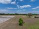 Open acreage with an equestrian area, pastures, and an isolated tree at 3805 Mammoth Grove Rd, Lake Wales, FL 33898